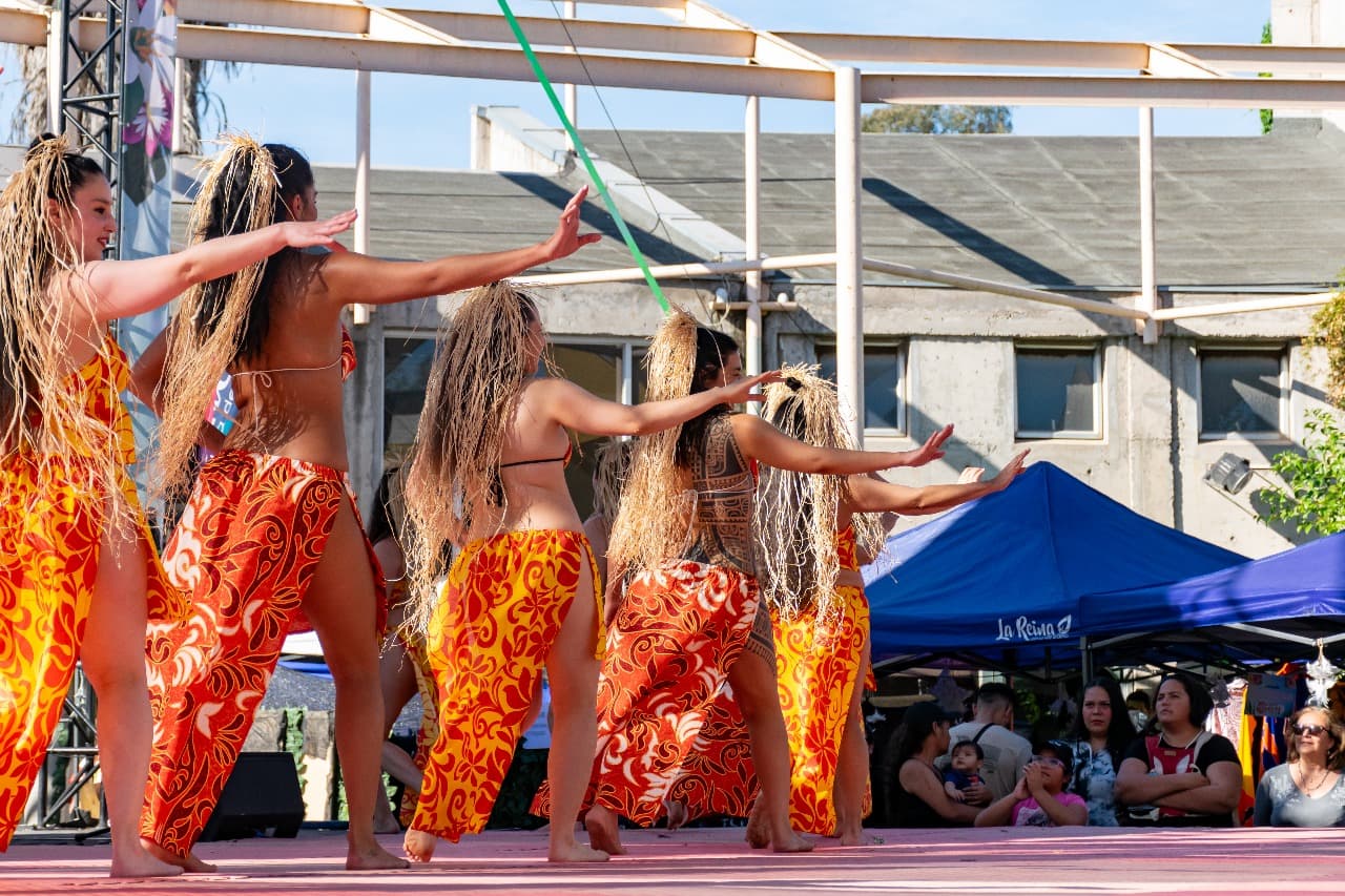 Vivelo 2024 presentacion